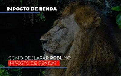 IR2020: Como declarar PGBL no Imposto de Renda?