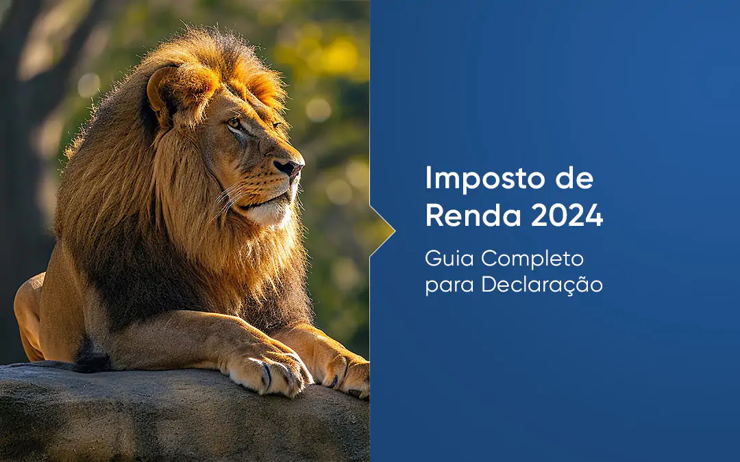 Declaração Imposto de Renda 2024 - CCR CONTABILIDADE